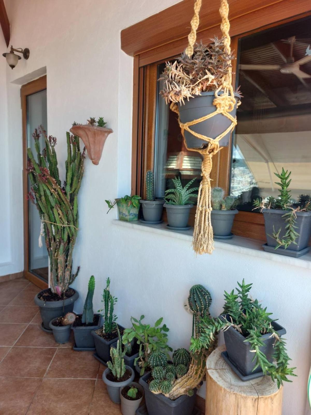 Saguaro'S Home Kavala Extérieur photo